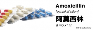 amoxicillin in chinese western medicine in china culturalbility